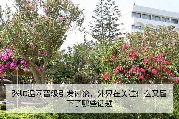 zhang-shuai-wen-wang-jin-ji-yin-fa-tao-lun-wai-jie-zai-guan-zhu-shen-me-you-liu-xia-le-na-xie-hua-ti-2-426.jpg